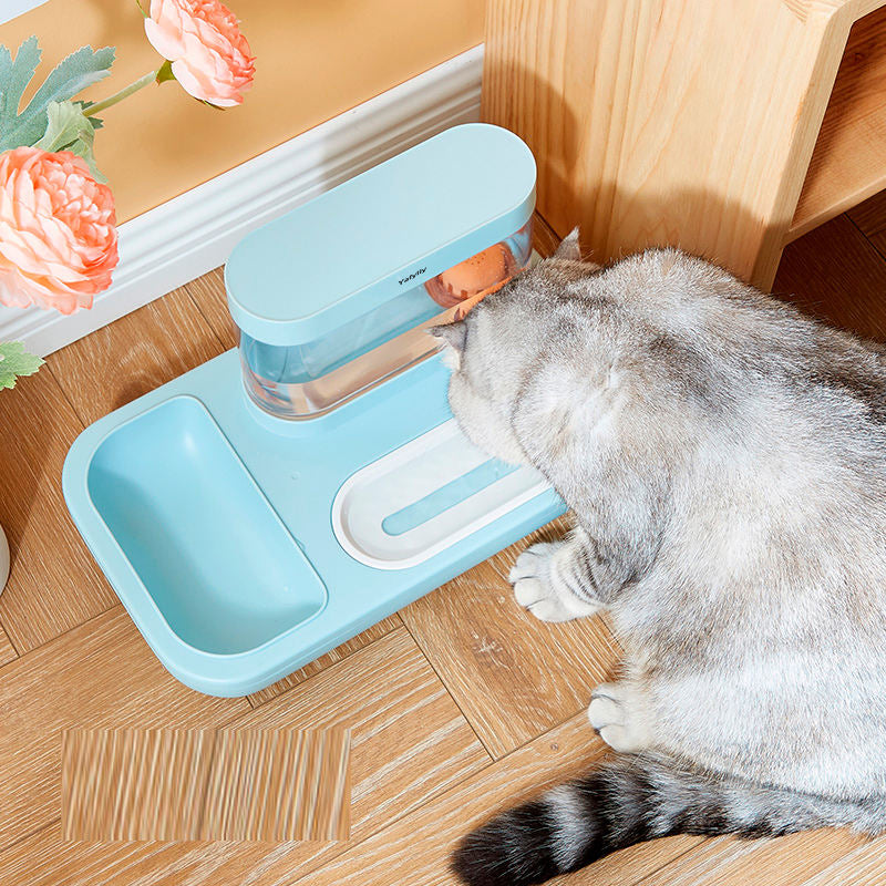 Rectangle Automatic Pet Feeder and Water Fountain for Cats and Small Dogs, 2-in-1 Food Bowl and Water Dispenser for Daily Indoor Feeding