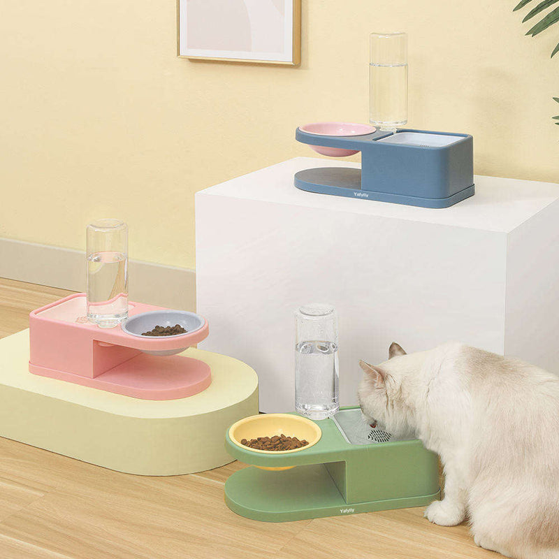 Raised Pet Food and Water Bowl, Elevated Feeding Bowl for Cats and Small Dogs, Ergonomic Pet Dish for Daily Meals