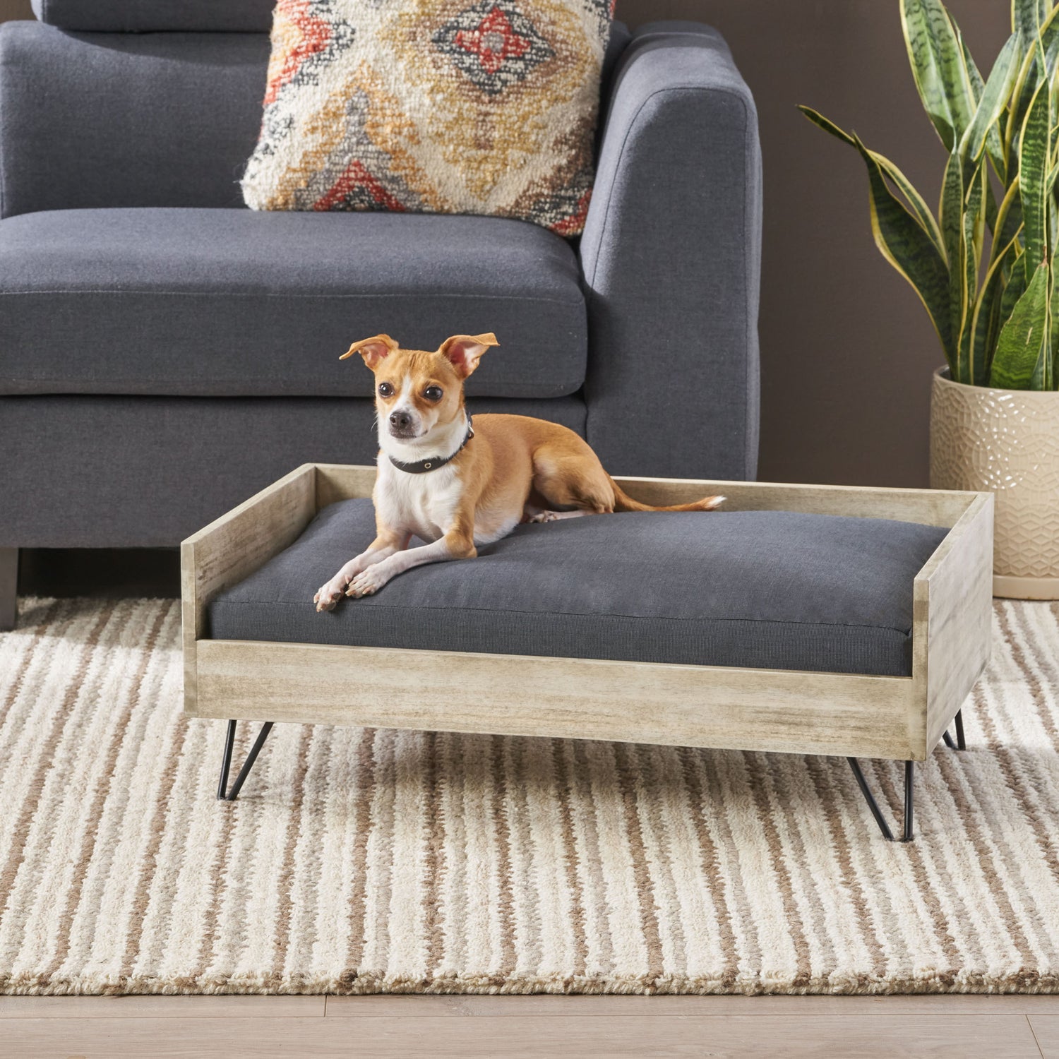 Pet Sofa Bed