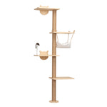 Cat's Leisure Climbing Zone