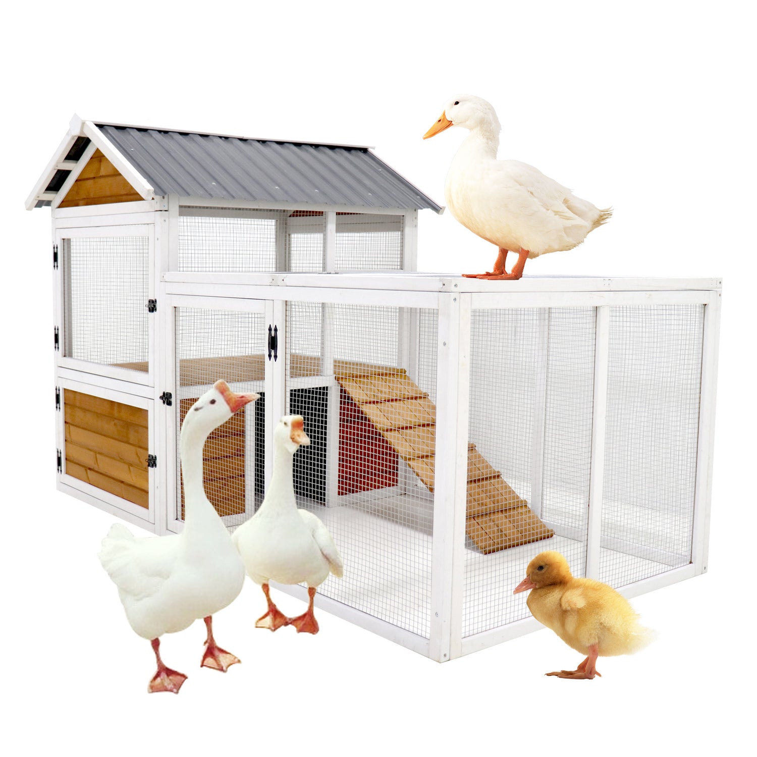 77"Large outdoor chicken coop Wooden chicken coop, duck coop with nest box, bird cage, rabbit cage - waterproof PVC board ( yellow brown  gradient 80°)L