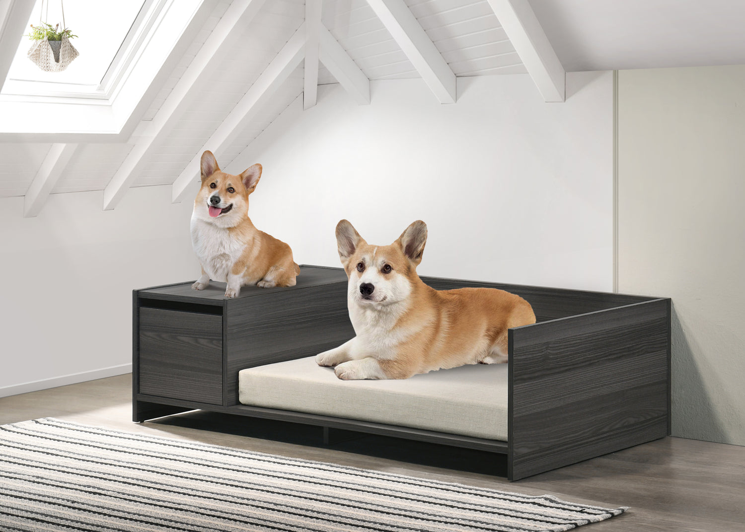 47' Wide Modern Comfy Pet Bed with Cushion and Side Storage Compartment
