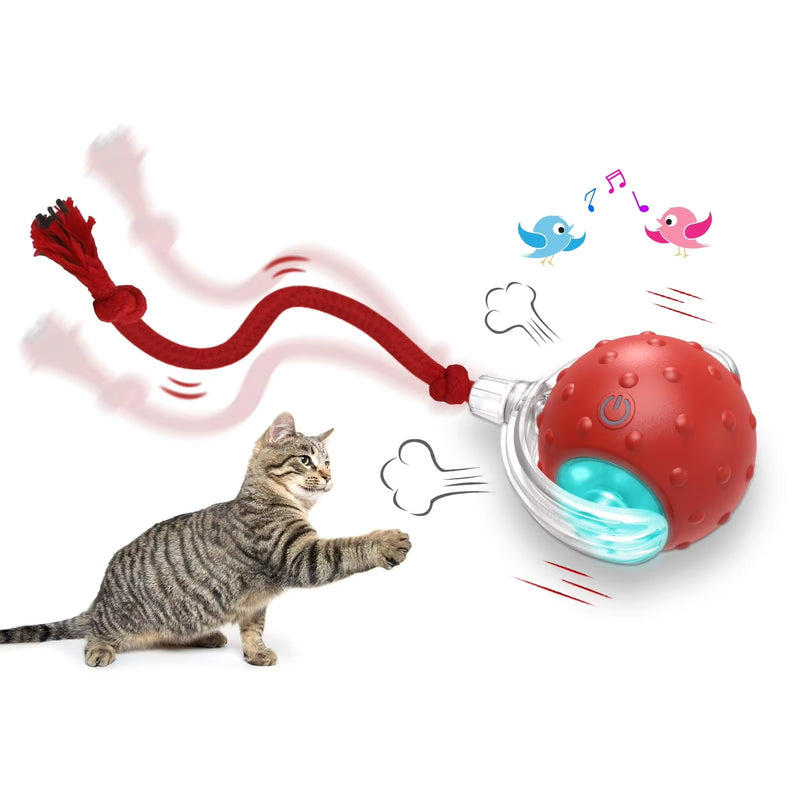 Interactive Cat Toy Ball for Indoor Cats, Rolling Cat Exercise Toy for Chasing, Pouncing and Play, Fun Motion Ball Toy for Cats and Kittens