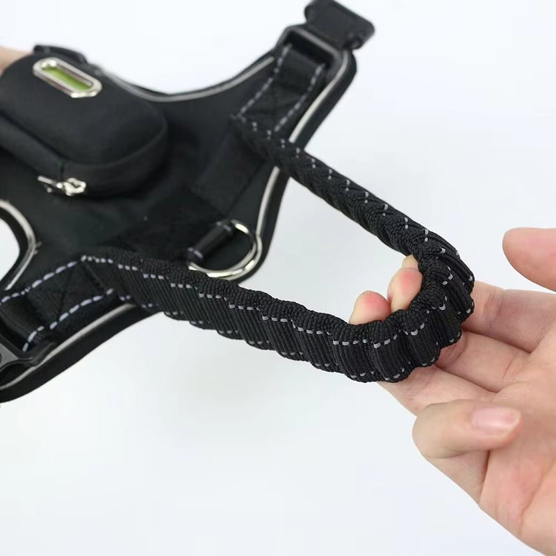 LED Dog Collar with USB Rechargeable Light, Adjustable Reflective Pet Collar for Night Walks, Training and Outdoor Use