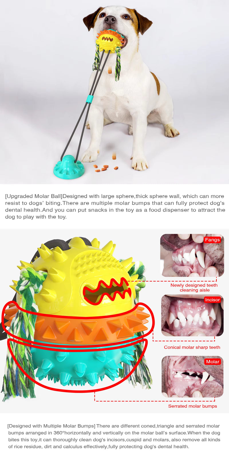 Interactive Tug of War Dog Toy, Durable Dog Rope Toy for Tugging, Chewing and Training, Interactive Pull Toy for Medium and Large Dogs