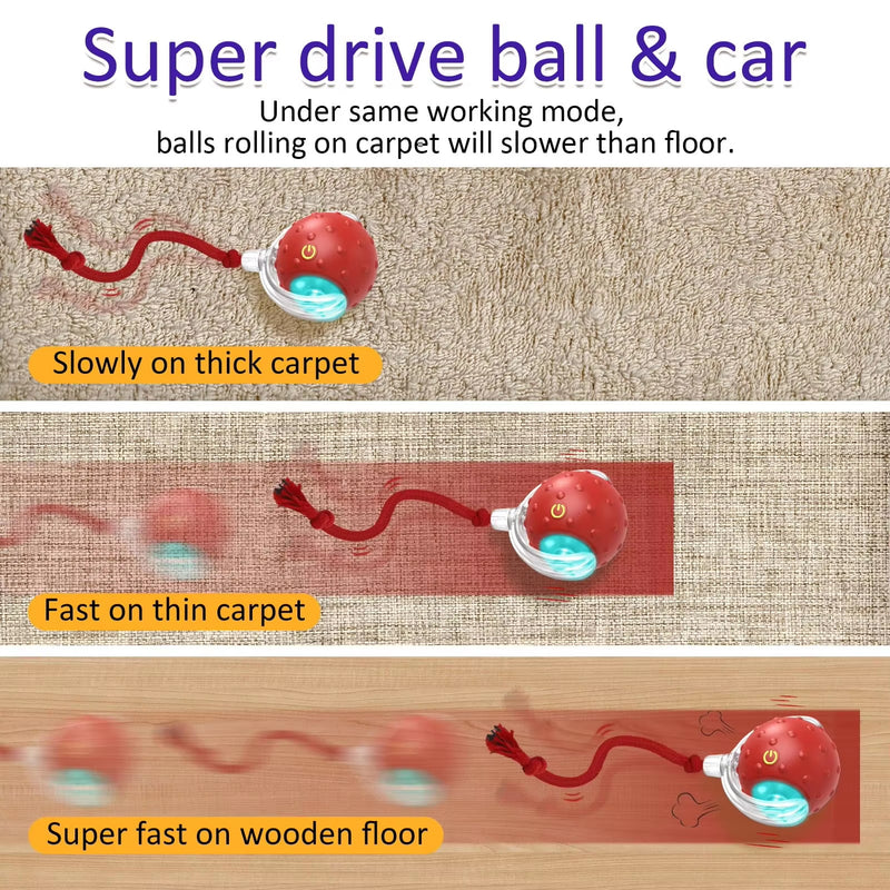 Interactive Cat Toy Ball for Indoor Cats, Rolling Cat Exercise Toy for Chasing, Pouncing and Play, Fun Motion Ball Toy for Cats and Kittens