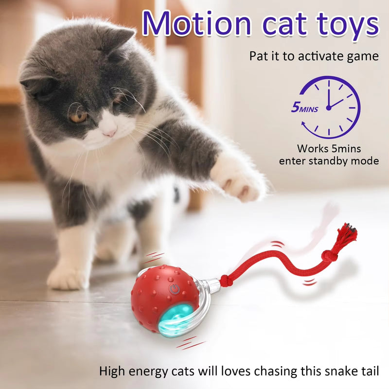 Interactive Cat Toy Ball for Indoor Cats, Rolling Cat Exercise Toy for Chasing, Pouncing and Play, Fun Motion Ball Toy for Cats and Kittens