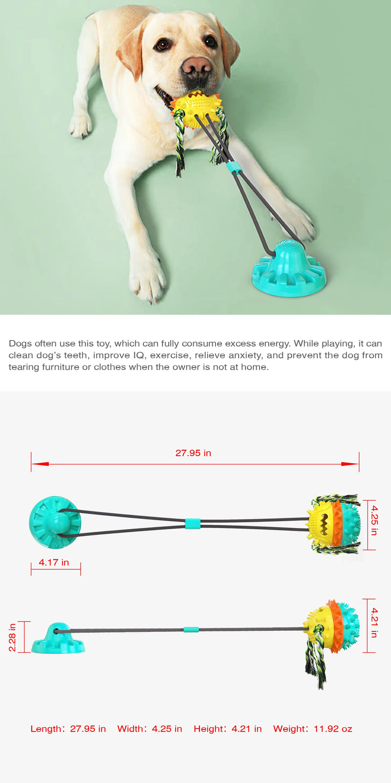 Interactive Tug of War Dog Toy, Durable Dog Rope Toy for Tugging, Chewing and Training, Interactive Pull Toy for Medium and Large Dogs