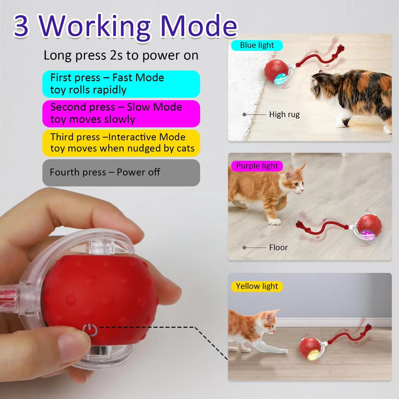 Interactive Cat Toy Ball for Indoor Cats, Rolling Cat Exercise Toy for Chasing, Pouncing and Play, Fun Motion Ball Toy for Cats and Kittens