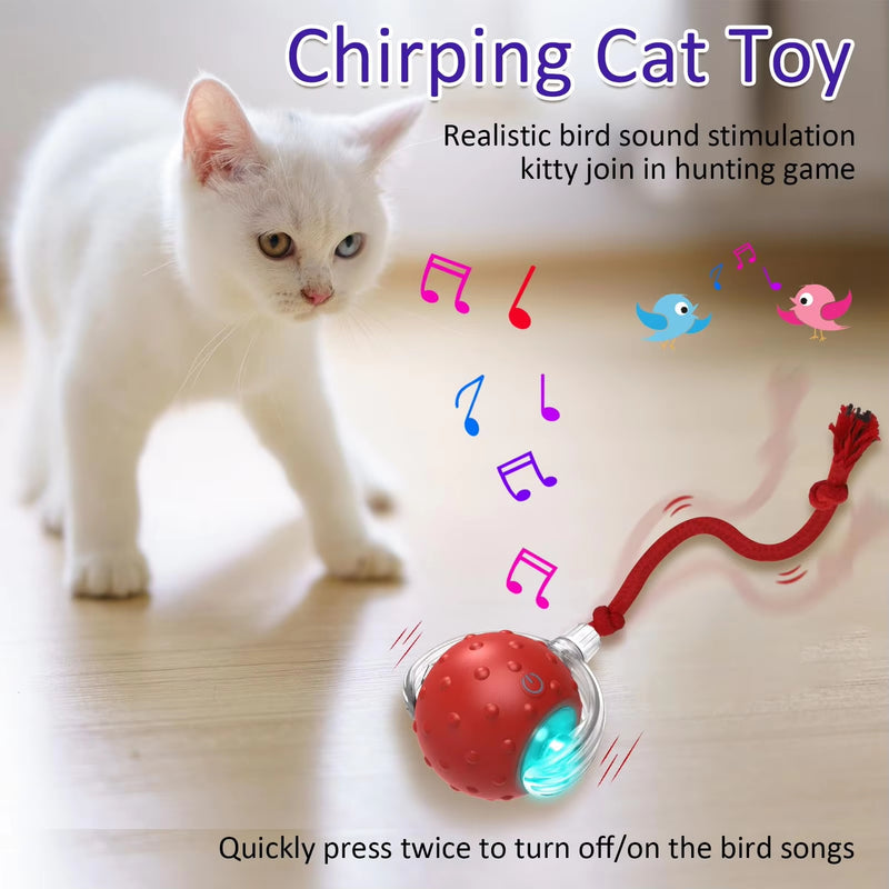 Interactive Cat Toy Ball for Indoor Cats, Rolling Cat Exercise Toy for Chasing, Pouncing and Play, Fun Motion Ball Toy for Cats and Kittens