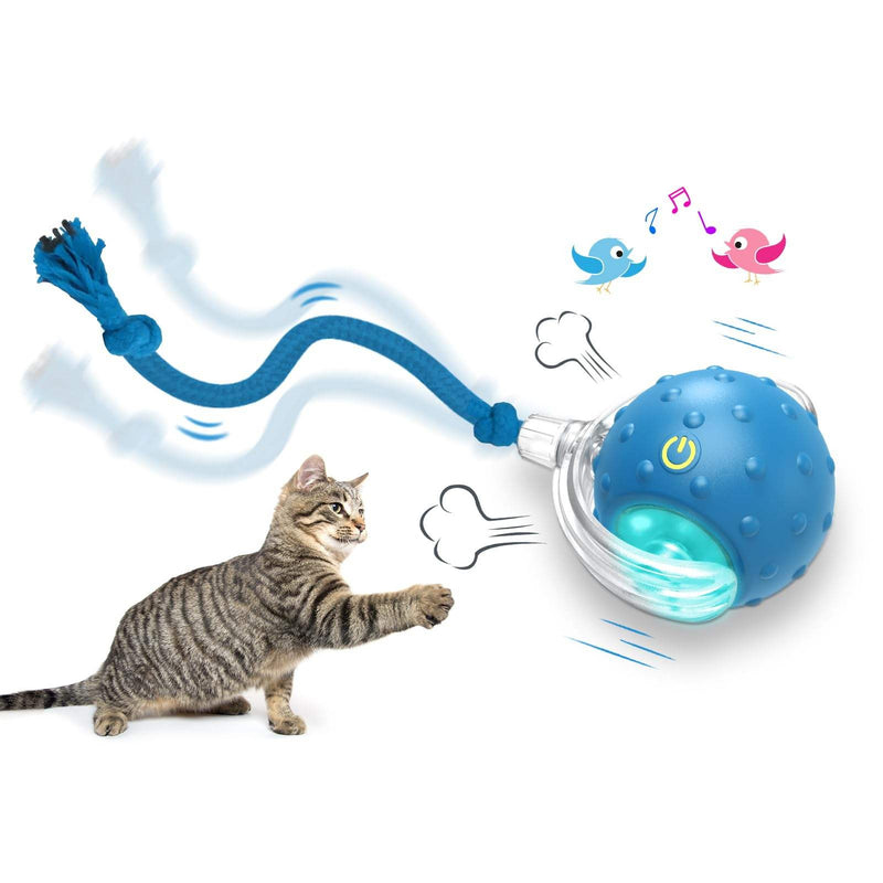 Interactive Cat Toy Ball for Indoor Cats, Rolling Cat Exercise Toy for Chasing, Pouncing and Play, Fun Motion Ball Toy for Cats and Kittens