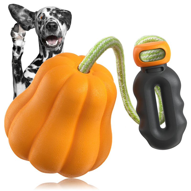 Pet Chew Toy for Dogs, Durable Interactive Dog Toy for Chewing, Teething, Training and Boredom Relief, Fun Chew Toy for Puppies and Small Dogs