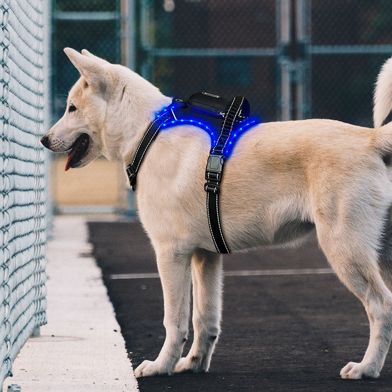 LED Dog Collar with USB Rechargeable Light, Adjustable Reflective Pet Collar for Night Walks, Training and Outdoor Use