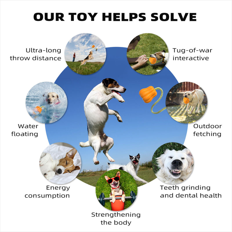 Pet Chew Toy for Dogs, Durable Interactive Dog Toy for Chewing, Teething, Training and Boredom Relief, Fun Chew Toy for Puppies and Small Dogs