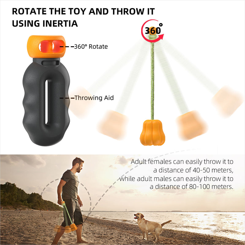 Pet Chew Toy for Dogs, Durable Interactive Dog Toy for Chewing, Teething, Training and Boredom Relief, Fun Chew Toy for Puppies and Small Dogs