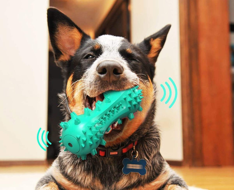 Puppy Teething Chew Toy, Durable Dog Chew Toy for Puppies and Small Dogs, Interactive Toy for Teething, Chewing, Training and Boredom Relief
