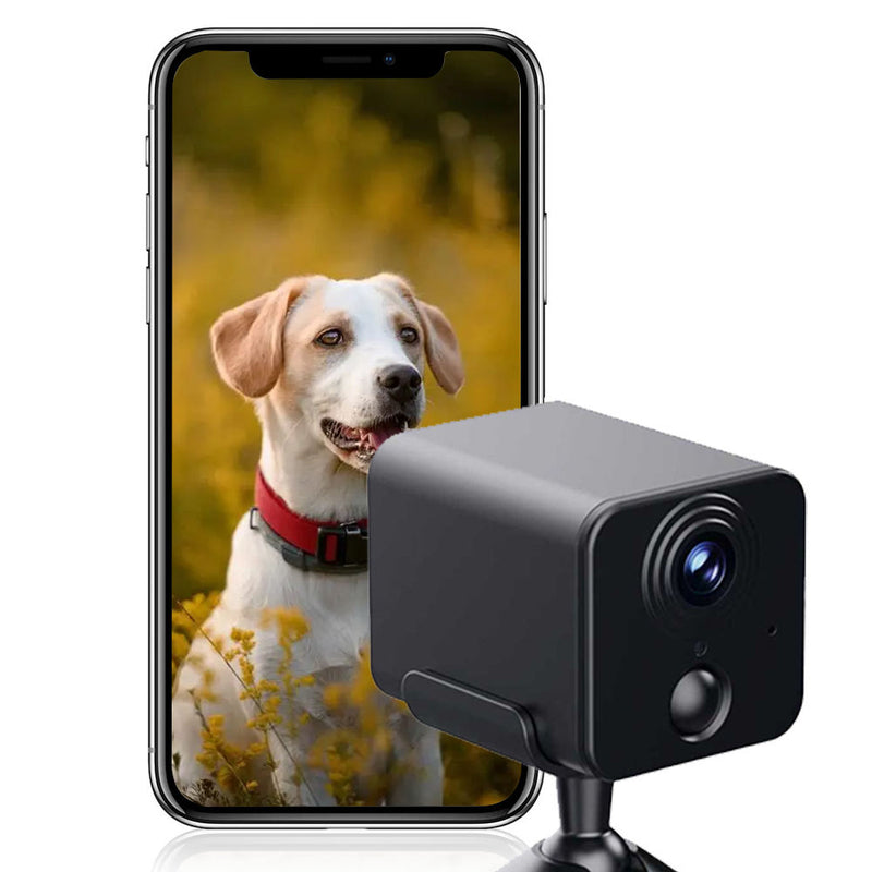 1080P Pet Camera for Dogs and Cats, Indoor WiFi Camera with AI Motion Detection, Night Vision and Two-Way Audio, Smart Home Pet Monitor