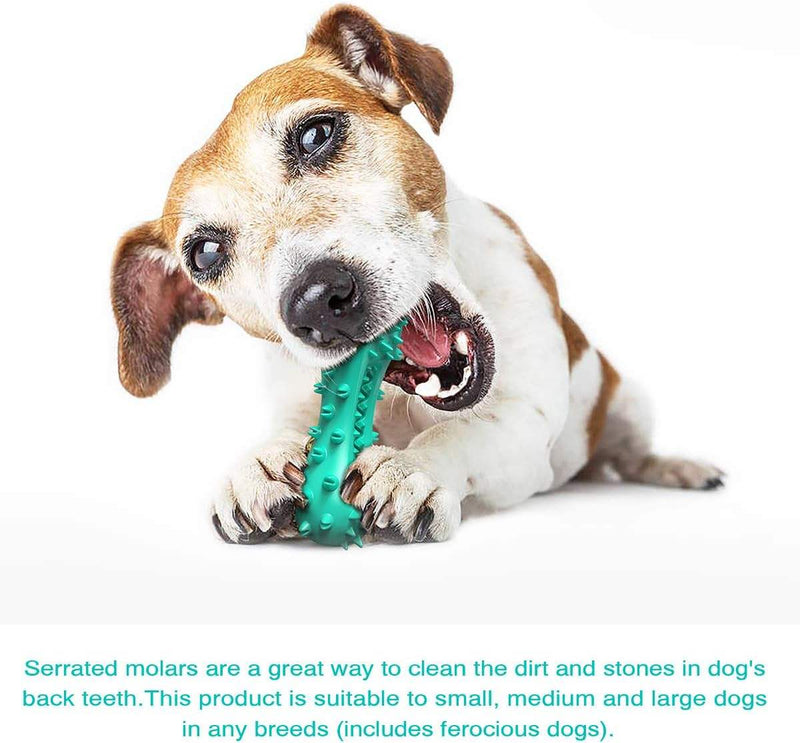 Puppy Teething Chew Toy, Durable Dog Chew Toy for Puppies and Small Dogs, Interactive Toy for Teething, Chewing, Training and Boredom Relief