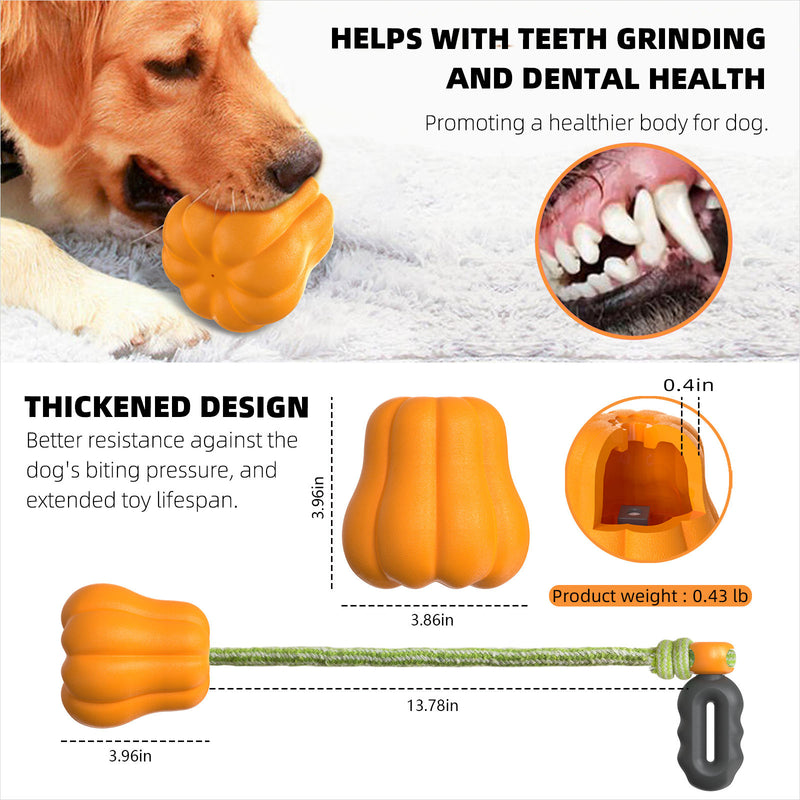 Pet Chew Toy for Dogs, Durable Interactive Dog Toy for Chewing, Teething, Training and Boredom Relief, Fun Chew Toy for Puppies and Small Dogs