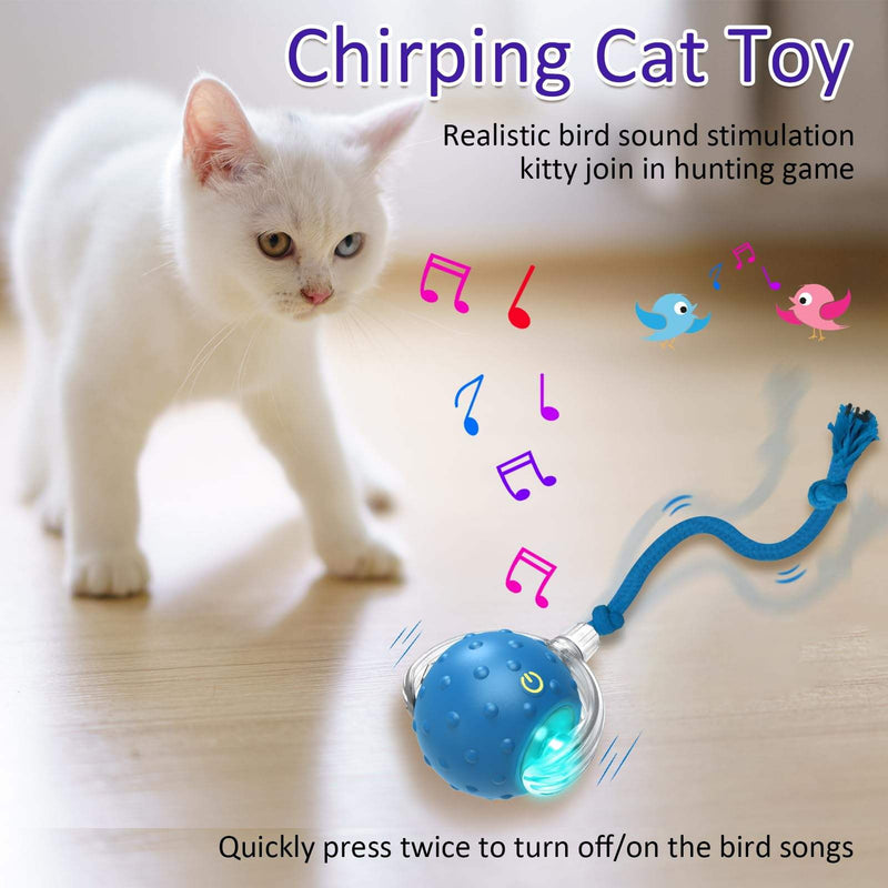 Interactive Cat Toy Ball for Indoor Cats, Rolling Cat Exercise Toy for Chasing, Pouncing and Play, Fun Motion Ball Toy for Cats and Kittens