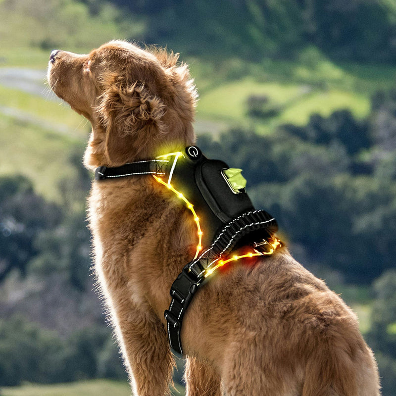LED Dog Collar with USB Rechargeable Light, Adjustable Reflective Pet Collar for Night Walks, Training and Outdoor Use