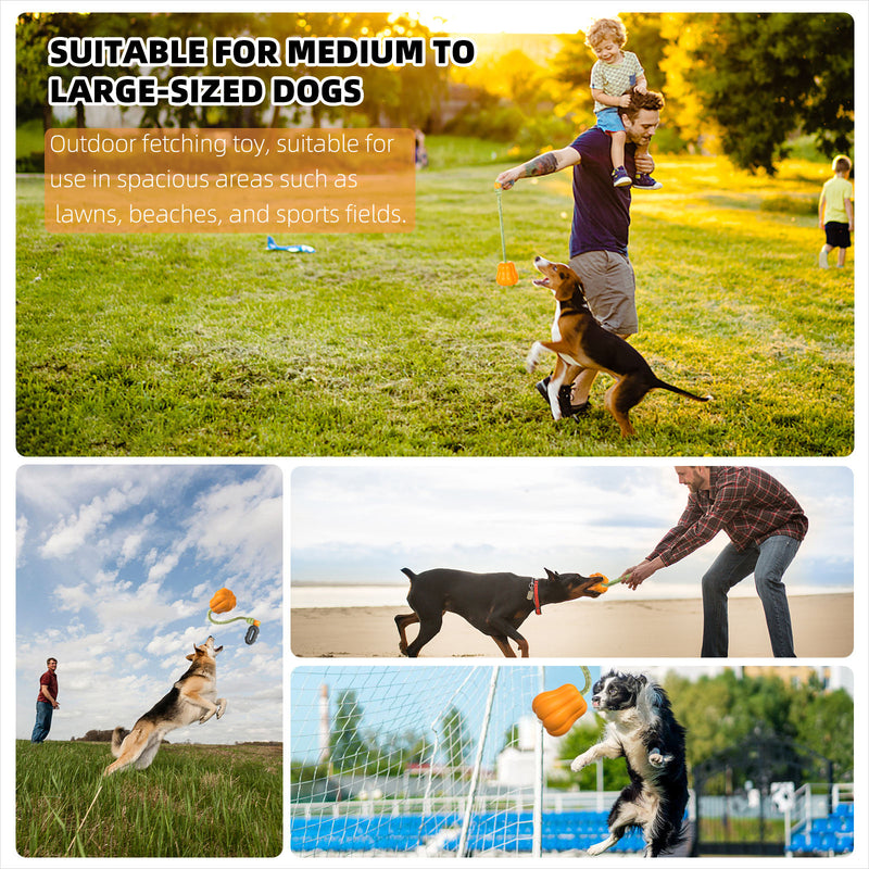 Pet Chew Toy for Dogs, Durable Interactive Dog Toy for Chewing, Teething, Training and Boredom Relief, Fun Chew Toy for Puppies and Small Dogs