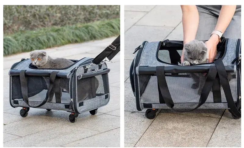 Portable Pet Carrier for Cats and Small Dogs, Soft-Sided Travel Pet Bag with Breathable Mesh, Lightweight Dog and Cat Carrier for Car Rides, Vet Visits and Daily Outings