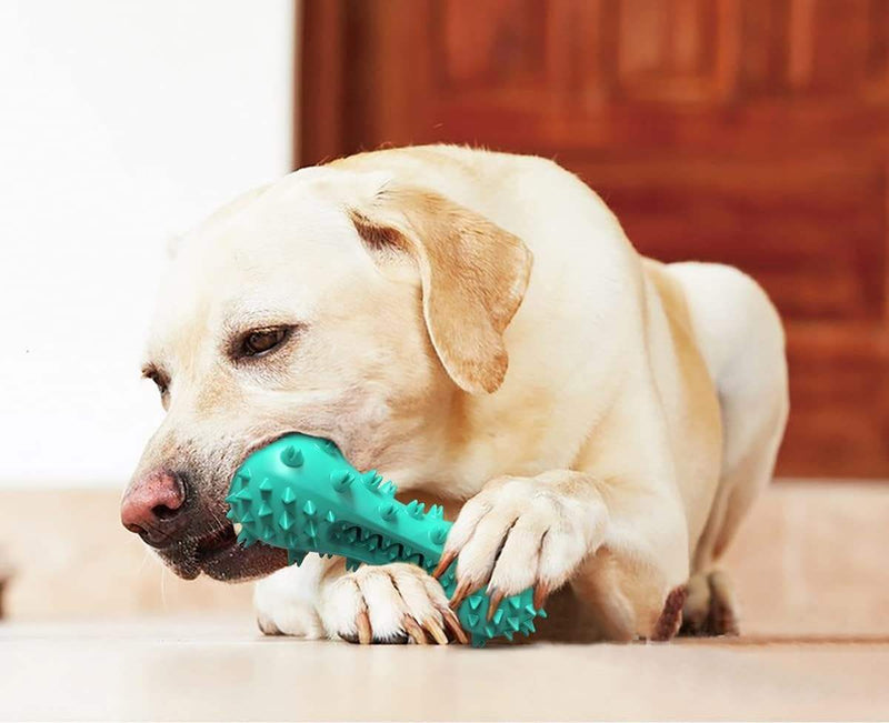 Puppy Teething Chew Toy, Durable Dog Chew Toy for Puppies and Small Dogs, Interactive Toy for Teething, Chewing, Training and Boredom Relief
