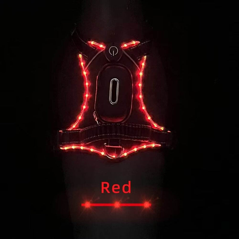 LED Dog Collar with USB Rechargeable Light, Adjustable Reflective Pet Collar for Night Walks, Training and Outdoor Use