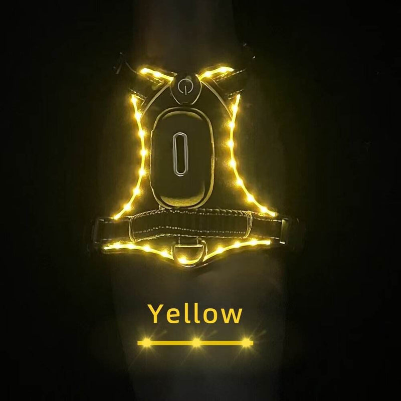 LED Dog Collar with USB Rechargeable Light, Adjustable Reflective Pet Collar for Night Walks, Training and Outdoor Use