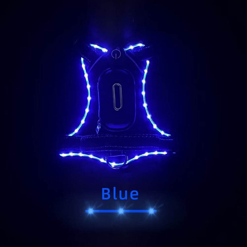 LED Dog Collar with USB Rechargeable Light, Adjustable Reflective Pet Collar for Night Walks, Training and Outdoor Use