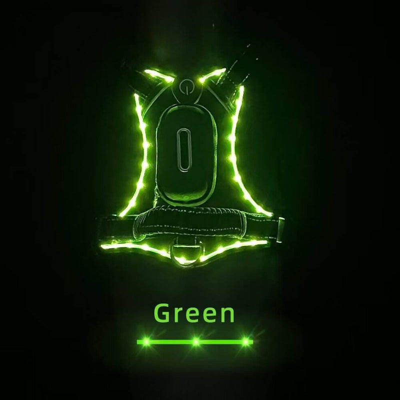 LED Dog Collar with USB Rechargeable Light, Adjustable Reflective Pet Collar for Night Walks, Training and Outdoor Use