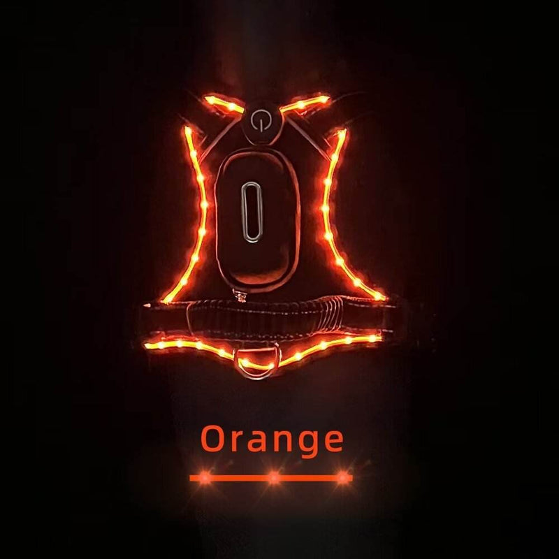 LED Dog Collar with USB Rechargeable Light, Adjustable Reflective Pet Collar for Night Walks, Training and Outdoor Use