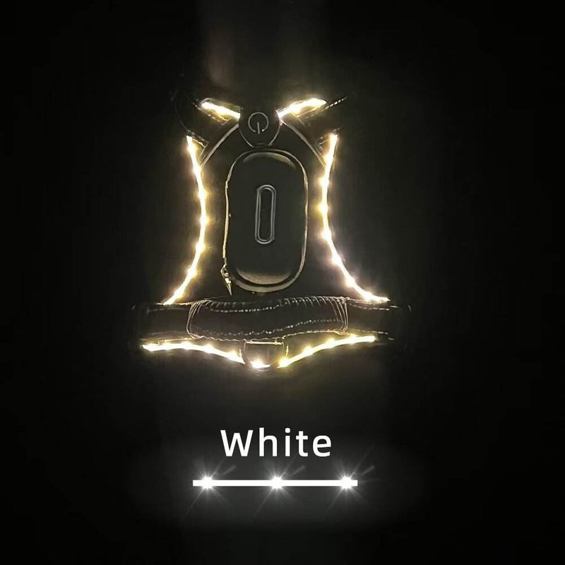 LED Dog Collar with USB Rechargeable Light, Adjustable Reflective Pet Collar for Night Walks, Training and Outdoor Use