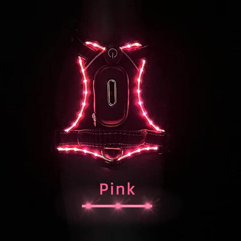 LED Dog Collar with USB Rechargeable Light, Adjustable Reflective Pet Collar for Night Walks, Training and Outdoor Use