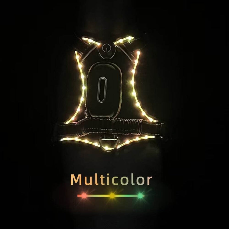 LED Dog Collar with USB Rechargeable Light, Adjustable Reflective Pet Collar for Night Walks, Training and Outdoor Use