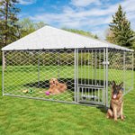 Outdoor Dog Kennel