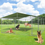 Outdoor Dog Kennel